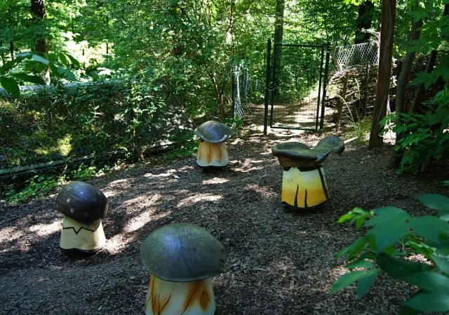 Klangpilze im Feenweltchen