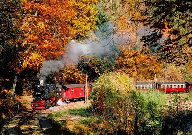 Harzquerbahn bei Steinerne Renne