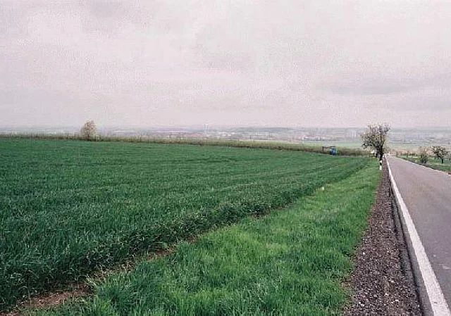 Straße Blick nach Osten