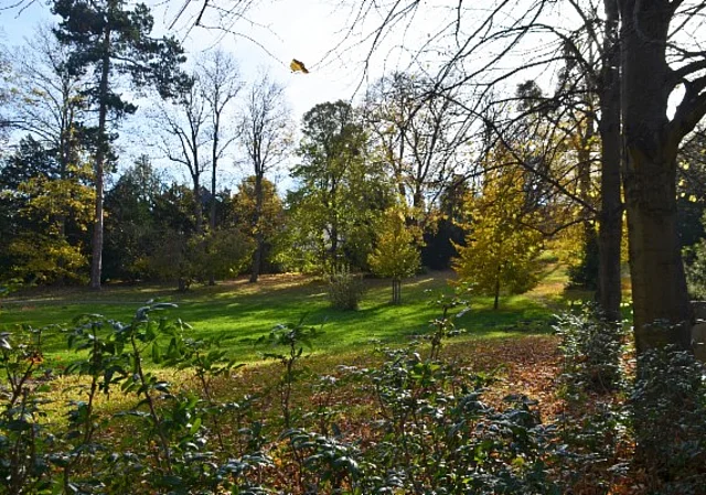Schlosspark und Landschaftsgarten Ballenstedt