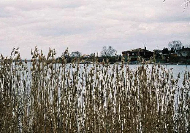 Ufer Blick nach Nordosten