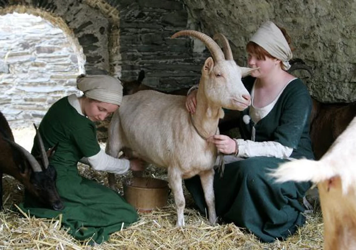 Ziegenstall