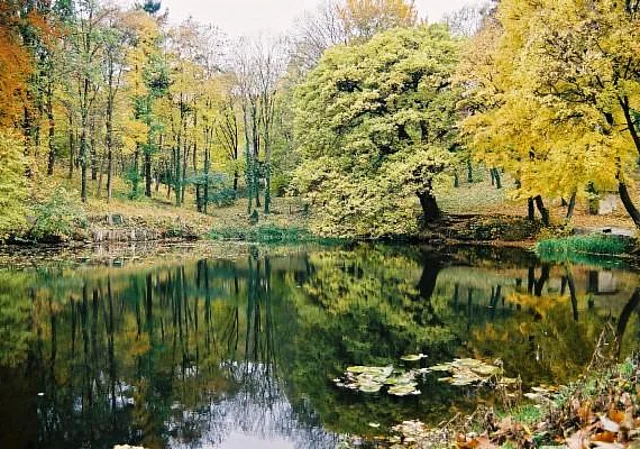 Schlosspark, Teich