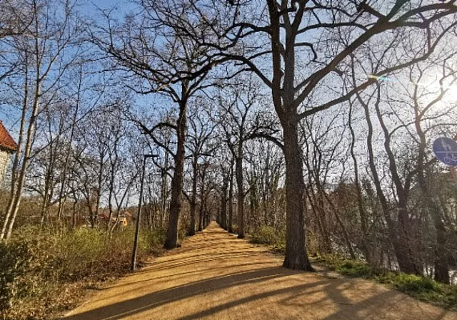 Luisenpark Espachpromenade