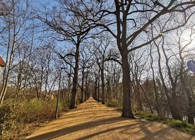 Luisenpark Espachpromenade 