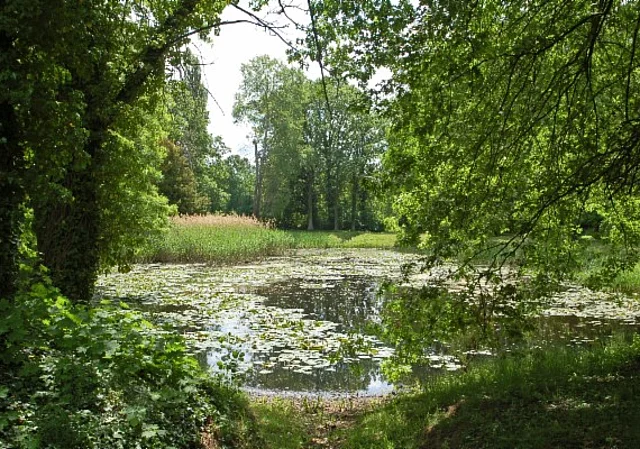 Schlosspark Tangerhütte, Kleiner Teich