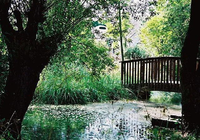 Teich Blick nach Südosten