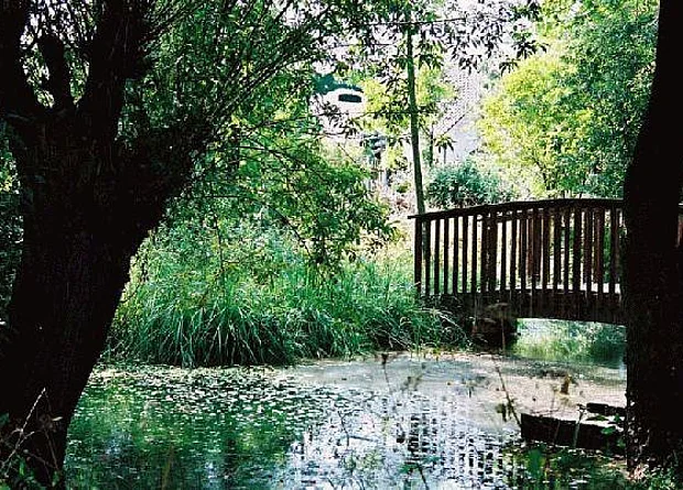 Teich Blick nach Südosten 