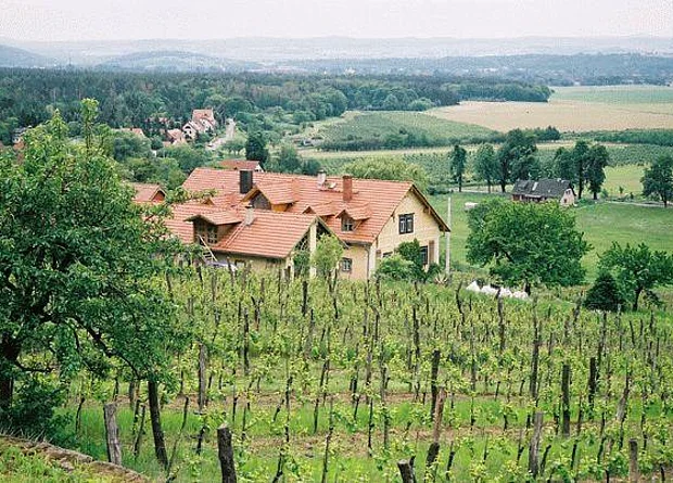 Blick vom Weinberg zum Wohnhaus Richtung Süden 