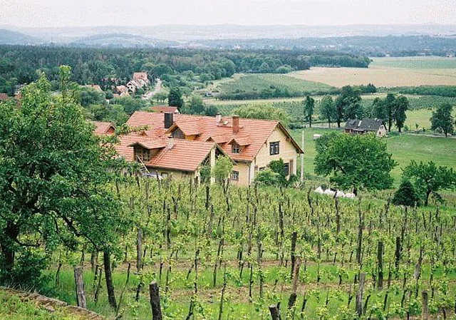 Blick vom Weinberg zum Wohnhaus Richtung Süden