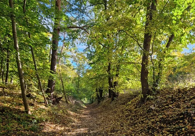 Klusberge Halberstadt