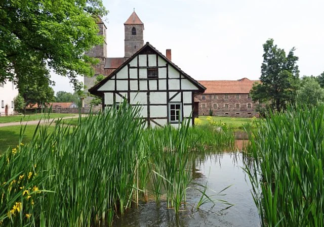Teich