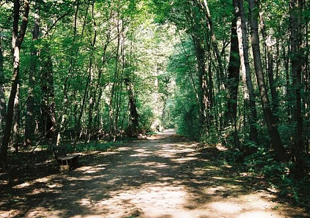 Rosental, Waldweg