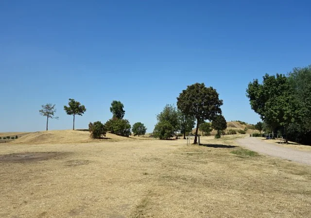 Rast- und Spielplatz