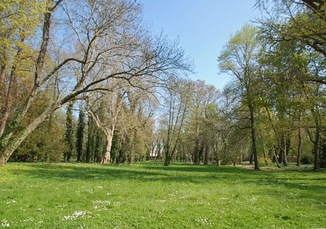 Schloss Ostrau, Schlosspark
