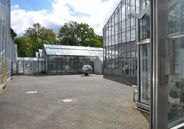 Gewächshäuser, Innenhof