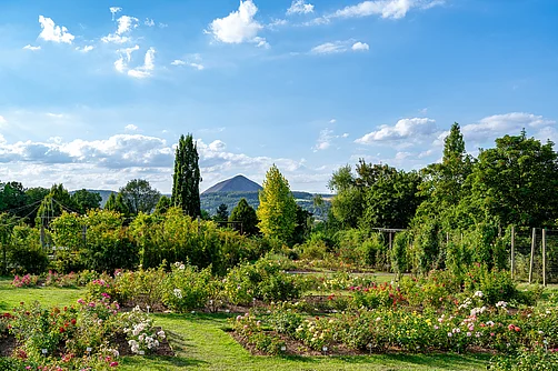 Rosarium Sangerhausen Rosarium Sangerhausen