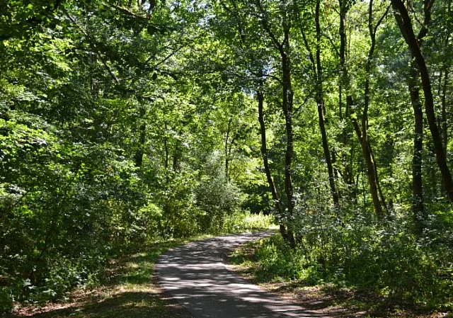 Sieglitzer Berg, Waldweg