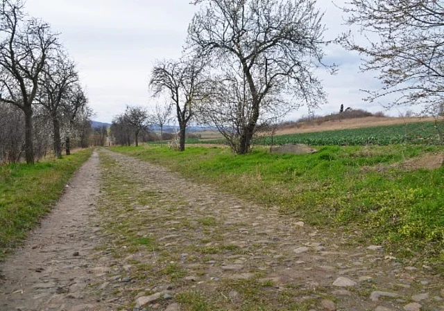 Wanderweg