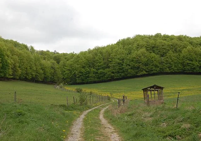 Weideland und Wälder