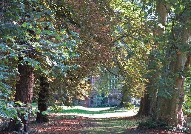 Rittergut Wittenmoor