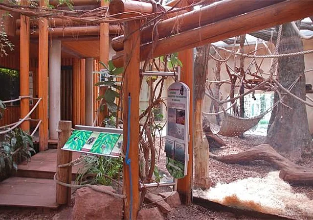 Schimpansenhaus, innen