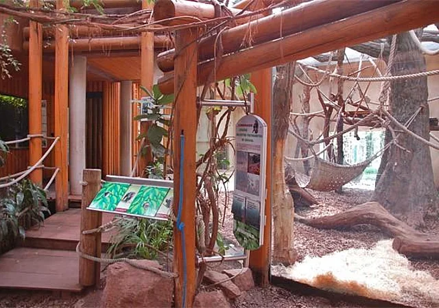 Schimpansenhaus, innen