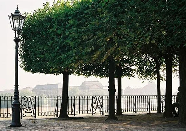 Blick zur Elbe, Norden