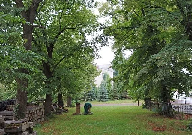 Lindenallee