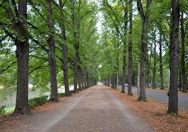 Clara-Zetkin-Park, Max-Reger-Allee