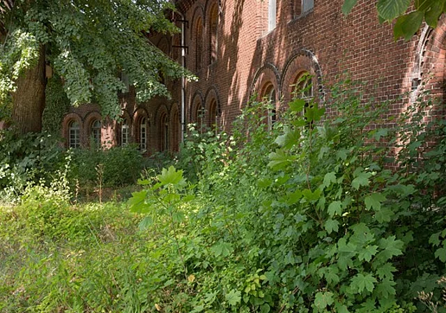 Innenhof mit üppiger Vegetation im Sommer
