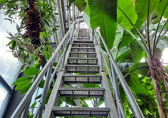Tropenhaus Treppe zur Balustrade