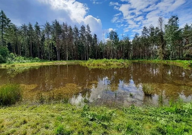 Froschteich Blick Richtung Westen