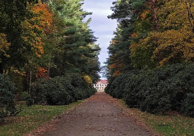 Schloss und Park Oranienbaum