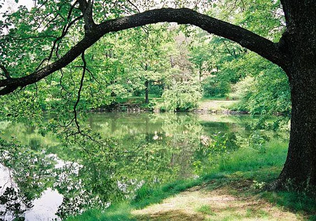 Schlosspark, Chinesischer Teich