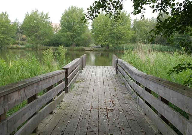 Bürgerpark, Schreiberteich nach Norden