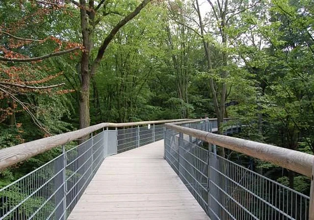 Baumkronenpfad