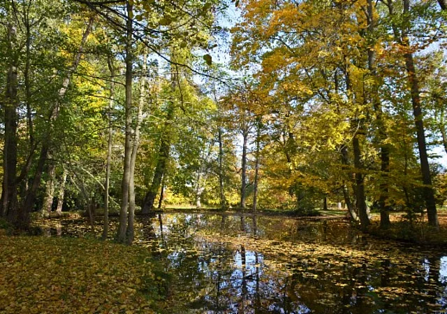 Schlosspark und Landschaftsgarten Ballenstedt
