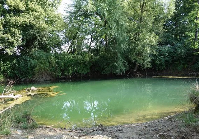 Thomasquelle