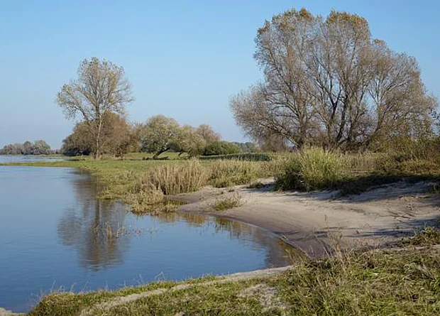 Elbe nach Nordost 