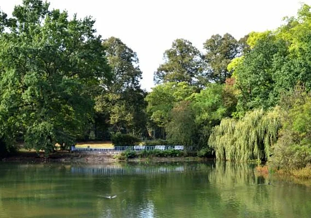 Clara-Zetkin-Park, Inselteich