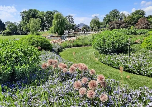 Blumenrabatte