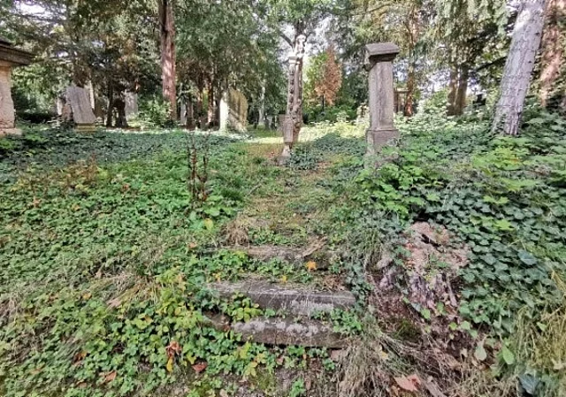 mit Efeu überwachsene Treppe, historische Grabsteine