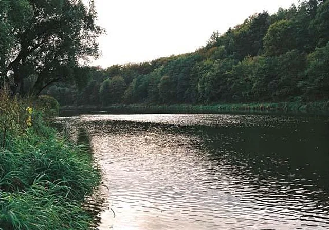 Mulde, Blick nach Süden