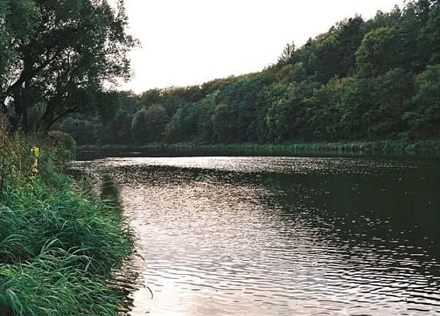 Mulde, Blick nach Süden 