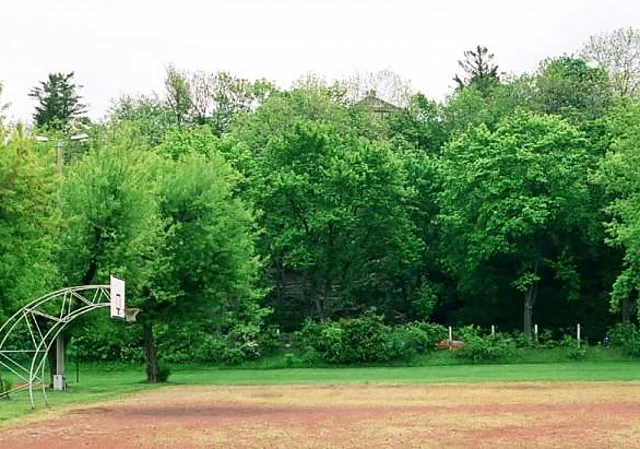 Basketballfeld