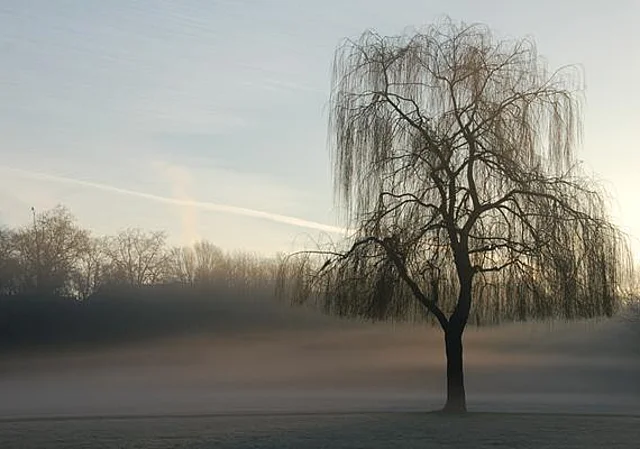 Ziegelwiese nach Osten