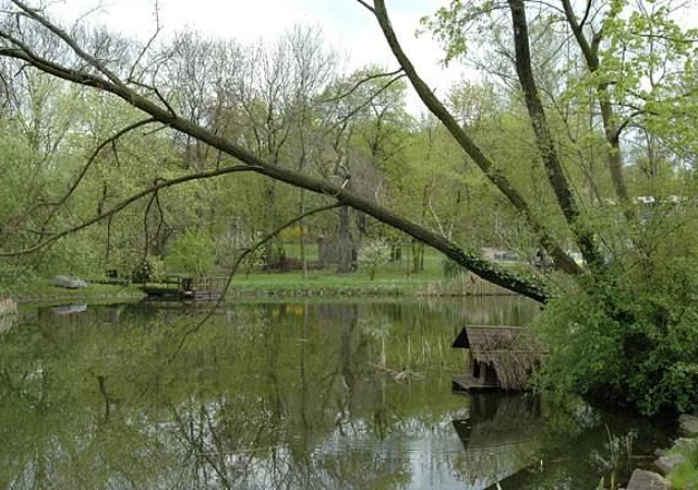 Garten, Teichanlage