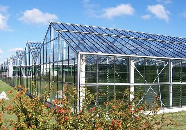 Algenfarm Klötze GmbH & Co. KG, Gewächshaus