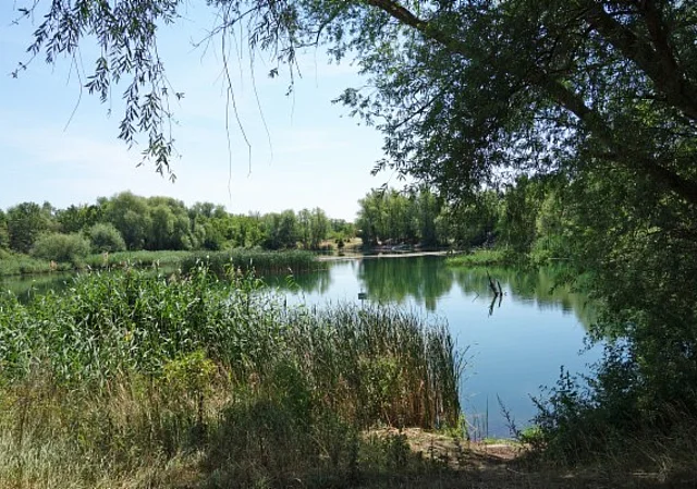 Landschaftssee Schwanenteich